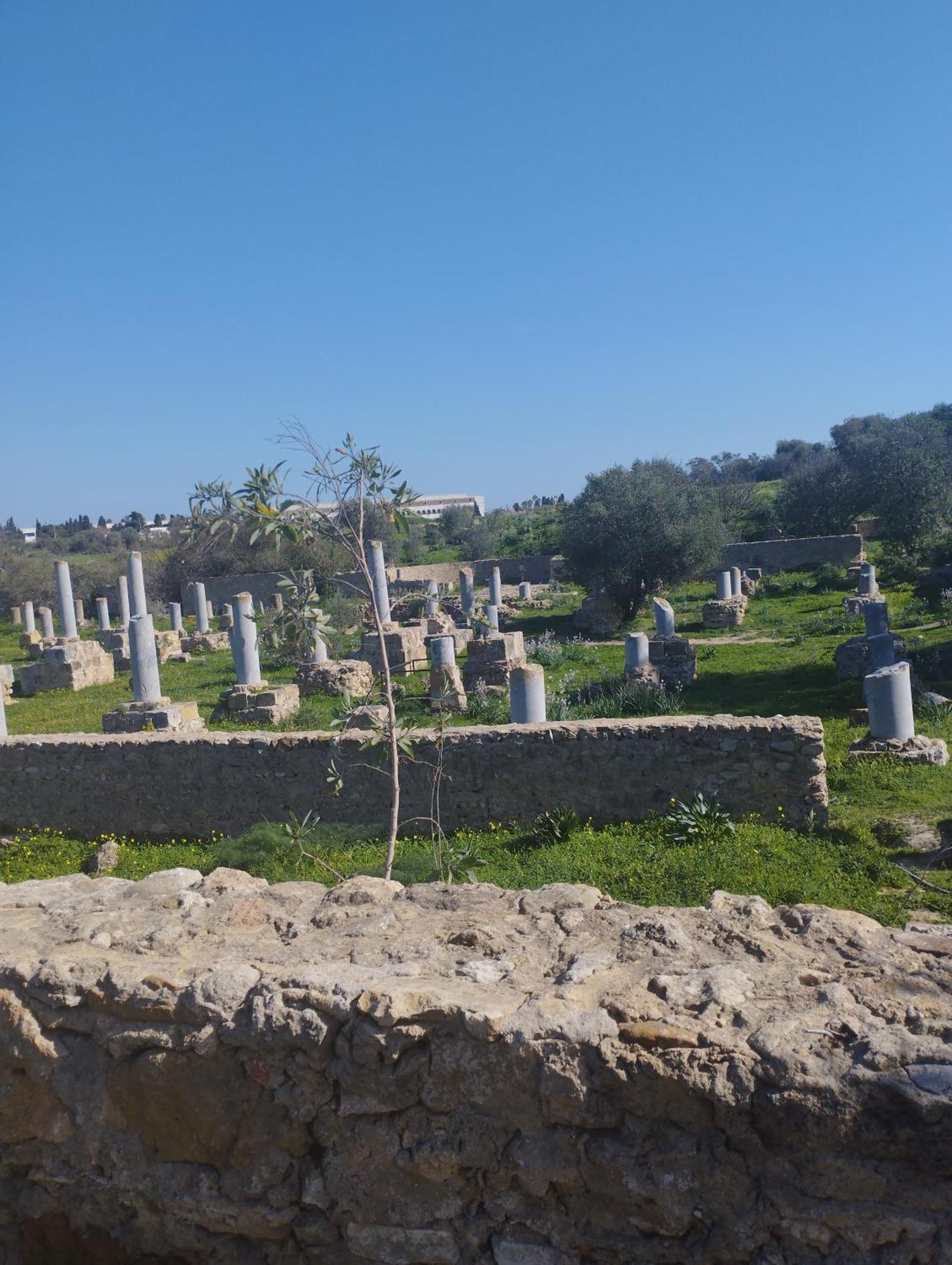 Appartement 2 A Carthage Byrsa Douar ech Chott エクステリア 写真